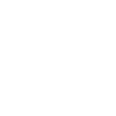iconmonstr-gear-white-11-240